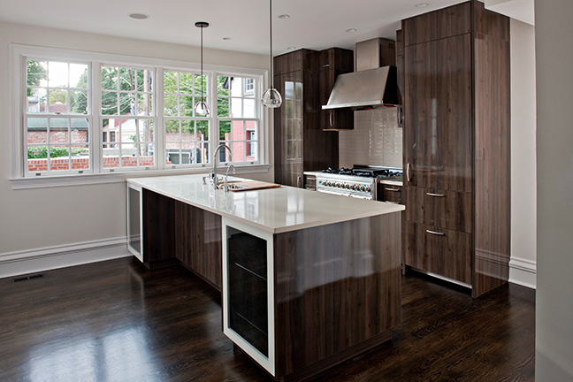 Sleek minimalist kitchen in DC